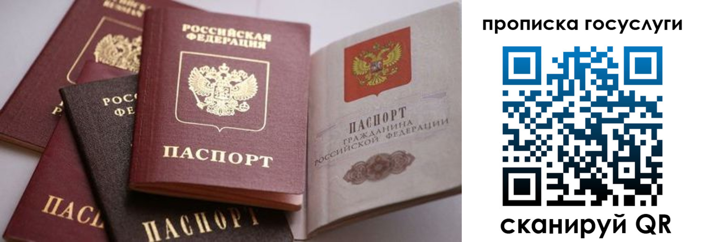 прописка иностранных граждан в Владимирской области