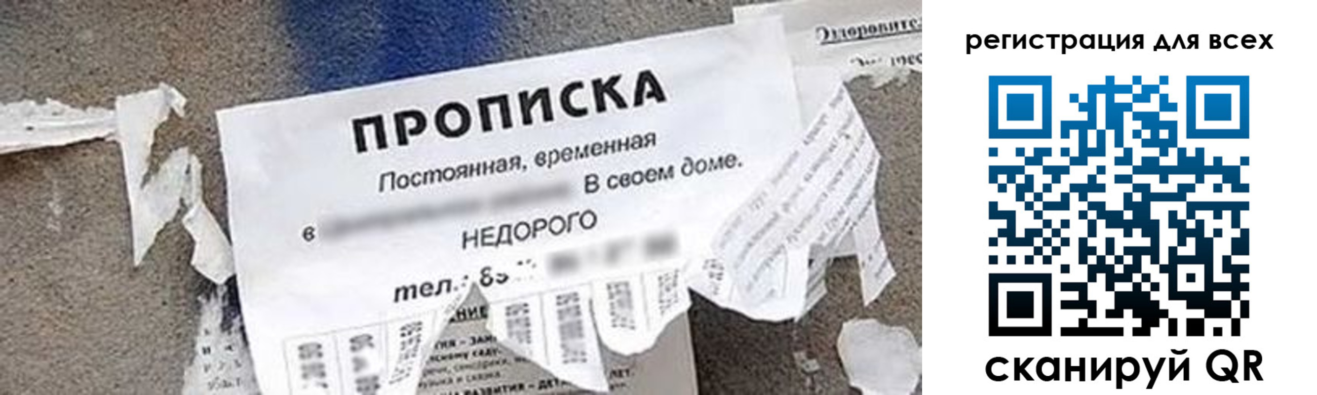 прописка поиск в Владимирской области